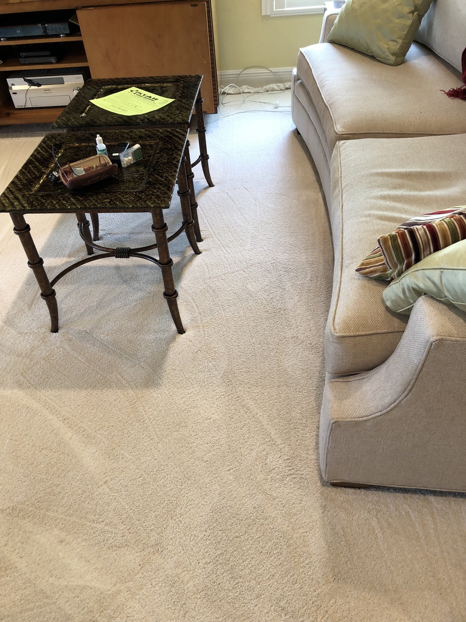 Residential Carpet Cleaning Photos Gator Clean