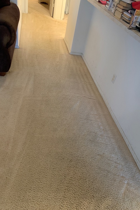 Carpet Cleaning Magic - After