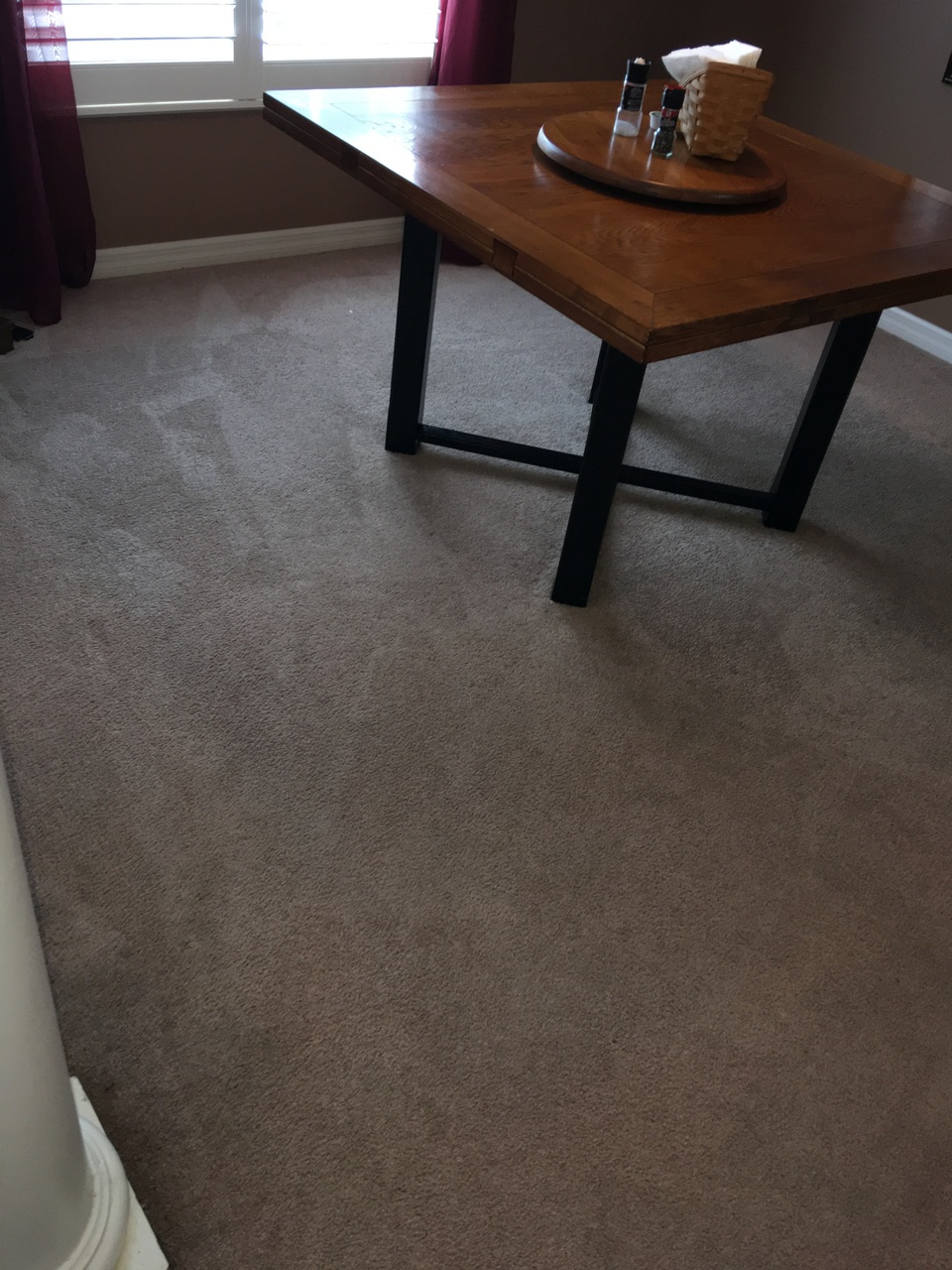 Residential Carpet Cleaning Photos Gator Clean