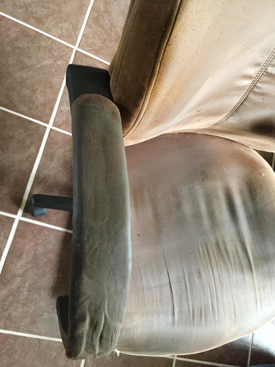Upholstery Cleaning Photos Gator Clean