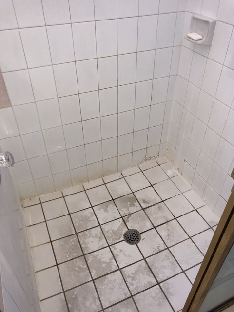 Tile Grout Cleaning Photos Gator Clean, How To Remove Nicotine Stains From Bathroom Tiles