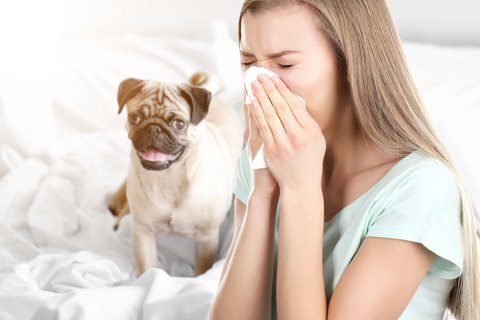 Don't Overlook These 3 Things If You Have Allergies.