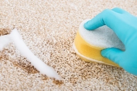 Get rid of re-appearing carpet stains once and for all!