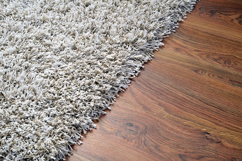 What's Better for Allergies: Carpet or Hardwood Floors?