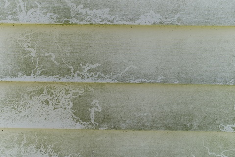 Why is my house siding green?