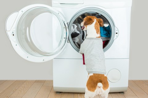 Why it is important to clean dryer vents regularly.