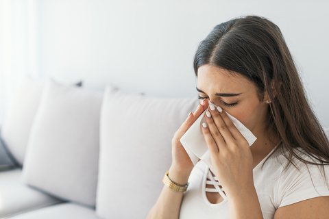 Allergen Removal